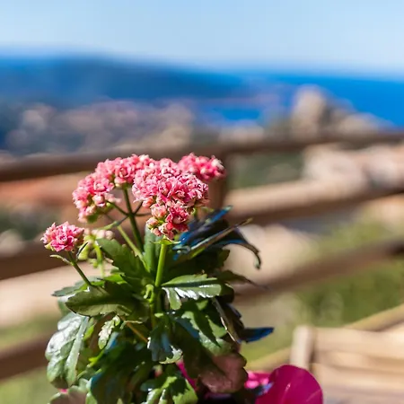 Panoramica Holiday home *